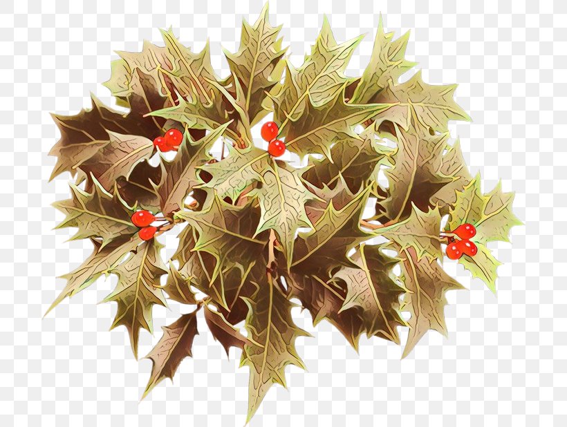 Christmas Ornament, PNG, 700x618px, Cartoon, Christmas Eve, Christmas Ornament, Flower, Holly Download Free