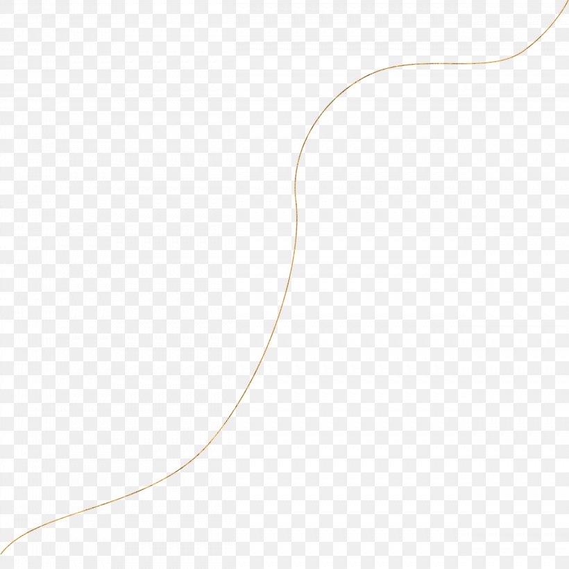 Line Neck, PNG, 2501x2501px, Neck Download Free