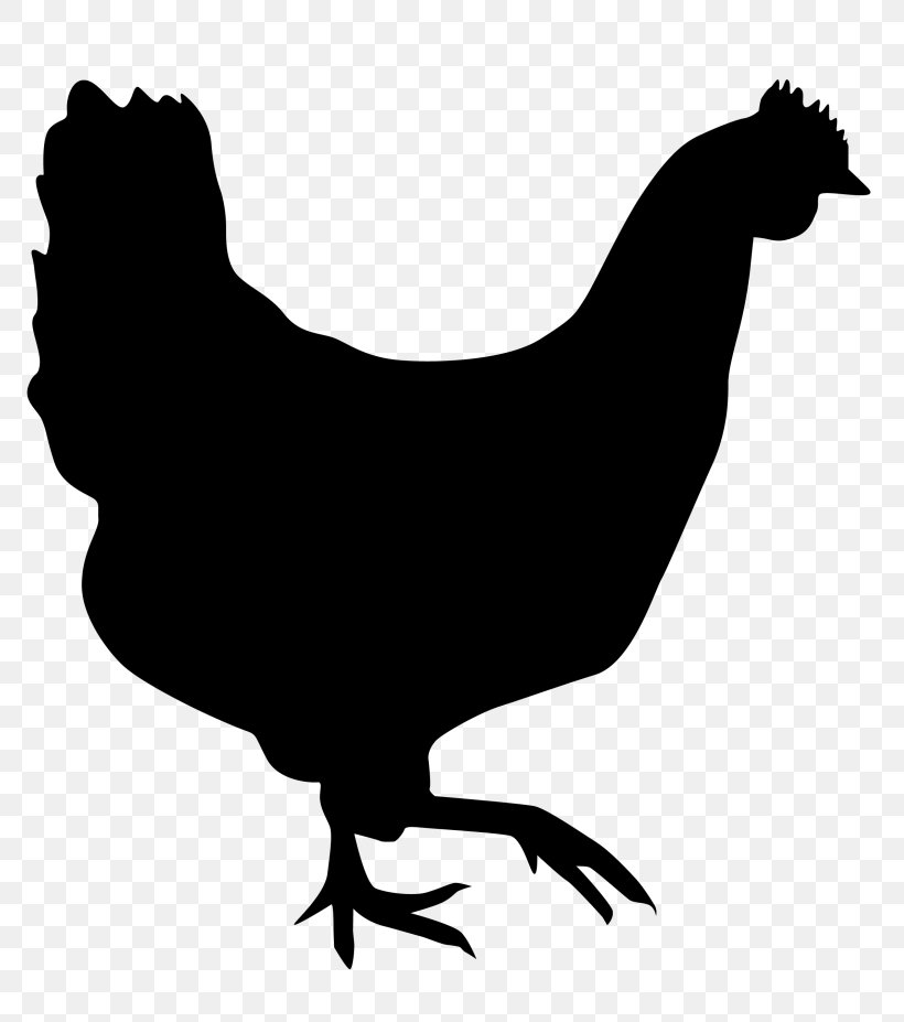 Rooster Chicken Silhouette Hen Drawing, PNG, 810x927px, Rooster, Art, Beak, Bird, Black And White Download Free