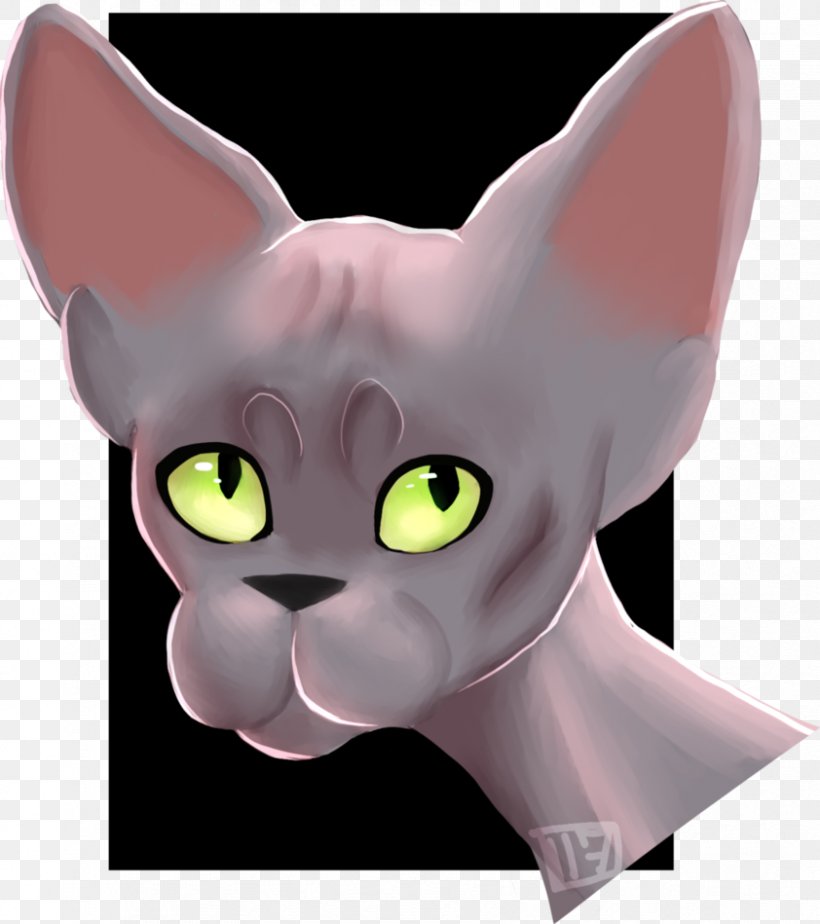 Whiskers Kitten Domestic Short-haired Cat Snout, PNG, 842x949px, Whiskers, Animated Cartoon, Carnivoran, Cartoon, Cat Download Free