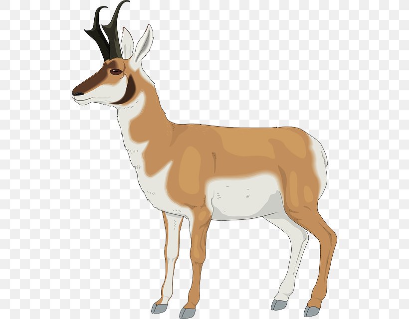 Antelope Pronghorn Impala Gazelle, PNG, 532x640px, Antelope, Animal Figure, Antler, Caprinae, Cow Goat Family Download Free