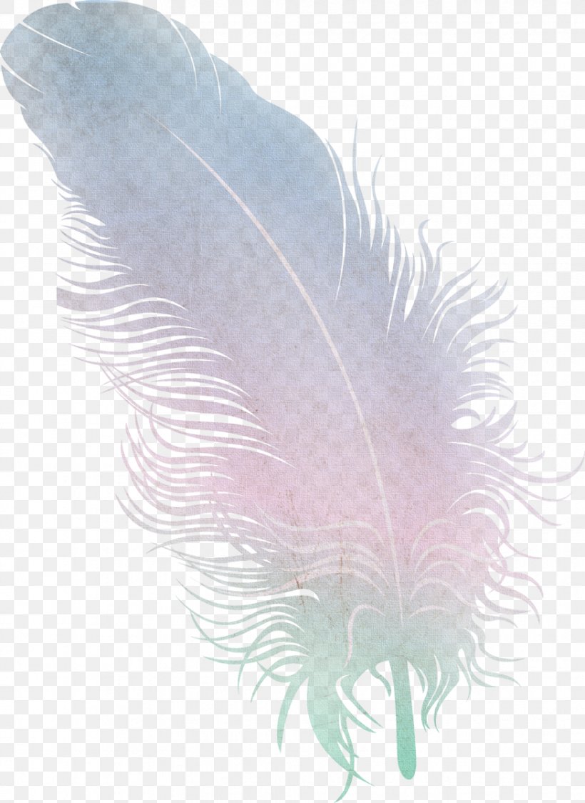 Feather Wing, PNG, 875x1200px, Feather, Animation, Drawing, Material, Organism Download Free