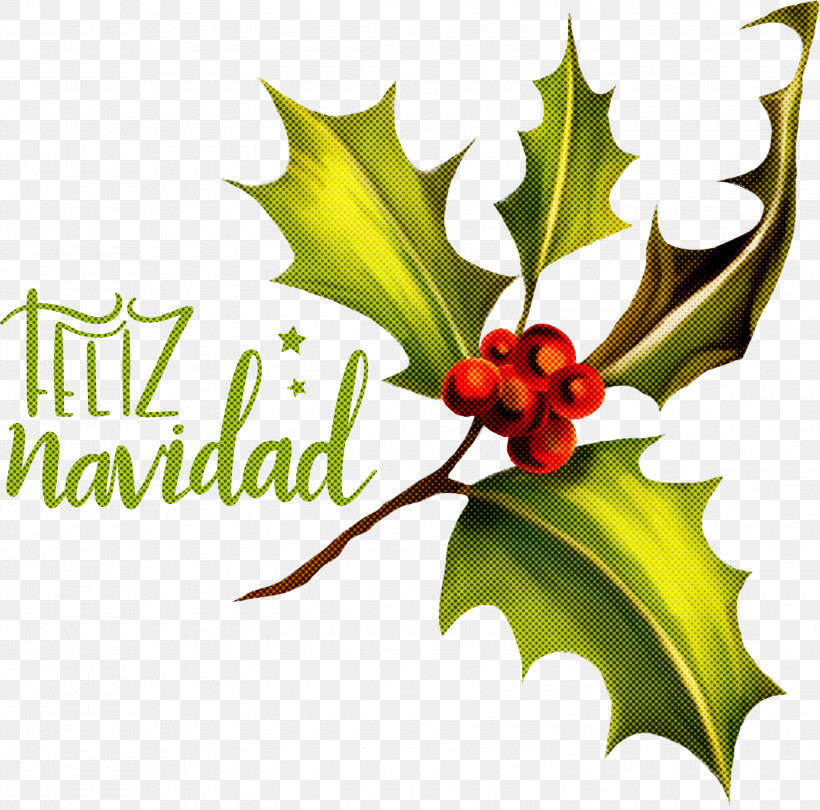 Feliz Navidad Merry Christmas, PNG, 3000x2964px, Feliz Navidad, Aquifoliales, Christmas Plants, Common Holly, Holly Download Free