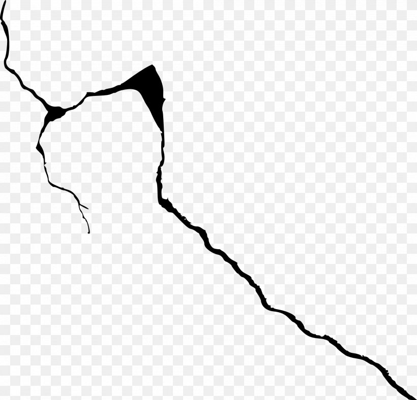 Paper Black And White Line Art Drawing, PNG, 2000x1923px, Paper, Area, Black, Black And White, Branch Download Free