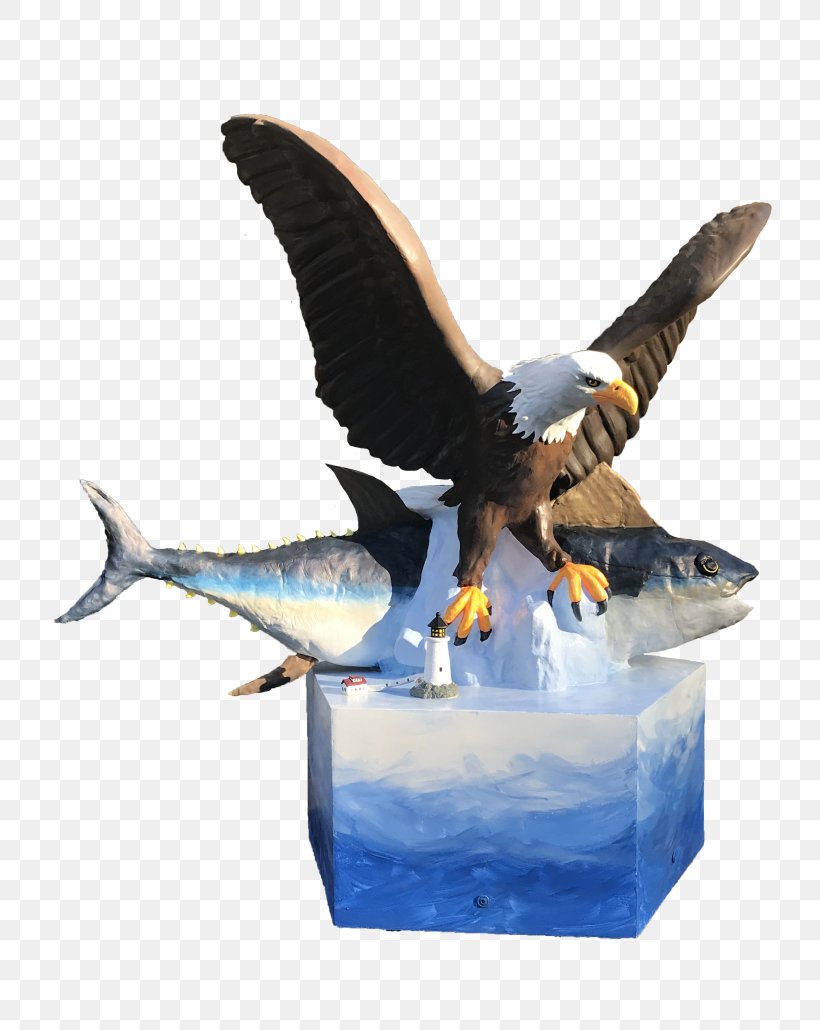 Sea Eagle Chunky's Cinema Pub Water Bird, PNG, 773x1030px, 7 December, Eagle, Anatidae, Beak, Bird Download Free