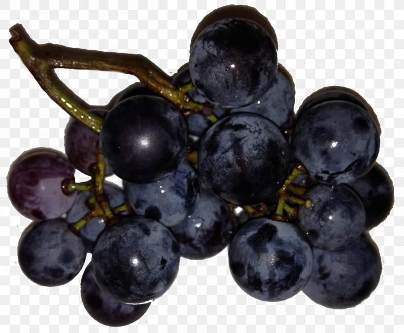 Zante Currant Grapevines Seedless Fruit Blueberry, PNG, 1256x1038px, Zante Currant, All About Fruit, Bilberry, Blueberry, Food Download Free