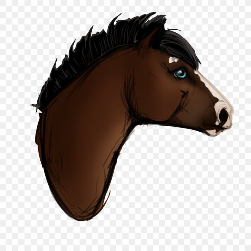 Mane Rein Mustang Pony Halter, PNG, 894x894px, Mane, Bridle, Halter, Head, Horse Download Free
