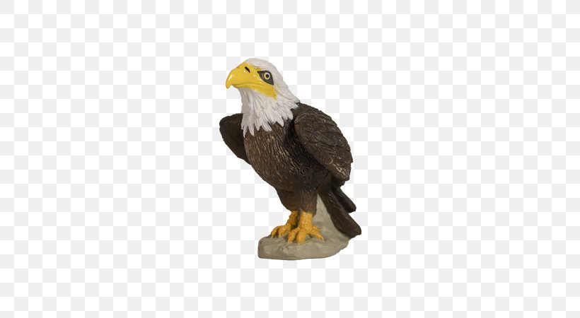 Bald Eagle Yowie Dinosaur Planet National Symbol, PNG, 592x450px, Bald Eagle, Accipitriformes, Beak, Bird, Bird Of Prey Download Free