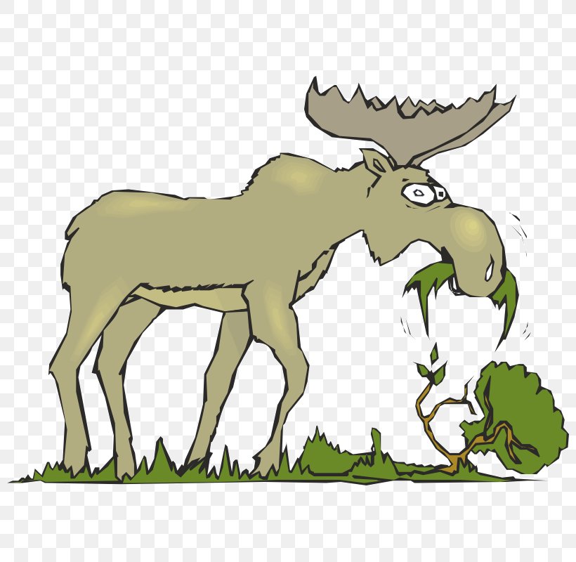 Moose Eating Cattle Mammal Clip Art, PNG, 800x800px, Moose, Antelope, Antler, Cattle, Cattle Like Mammal Download Free
