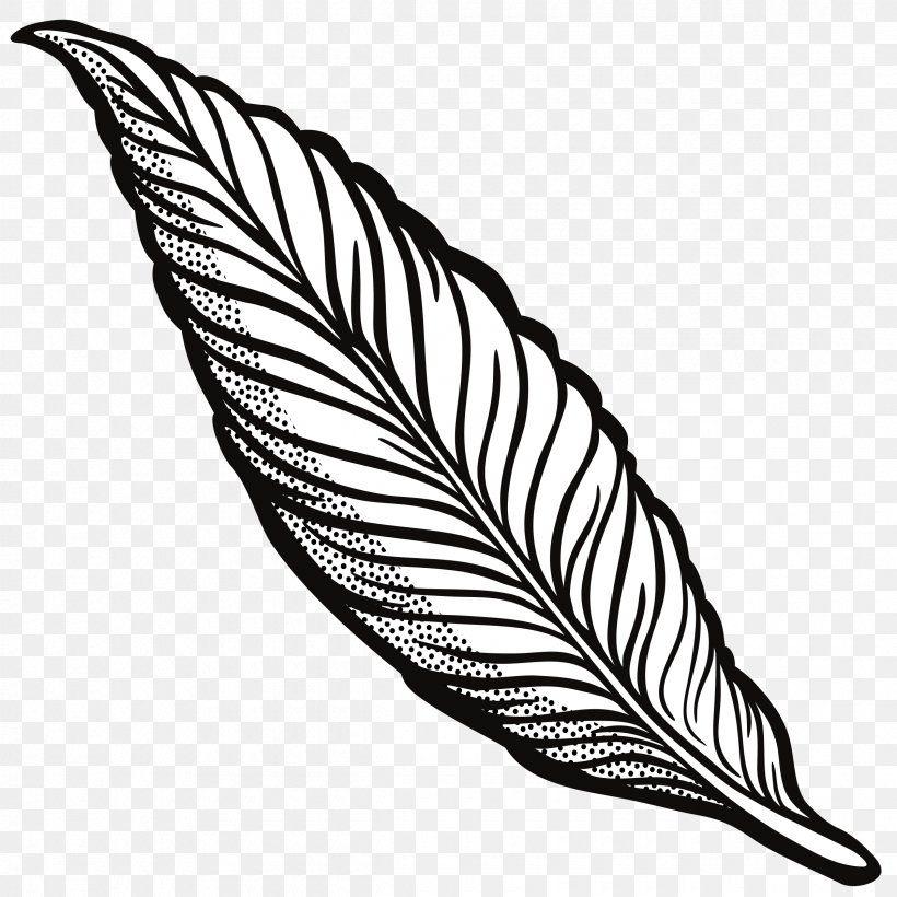 Ausmalbild Feather Drawing Clip Art, PNG, 2400x2400px, Ausmalbild, Beak, Bird, Black And White, Color Download Free