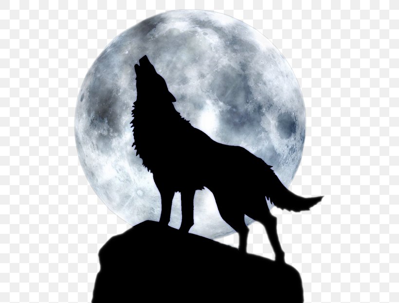 Dog Full Moon T-shirt Black Wolf, PNG, 532x622px, Dog, Animal, Aullido, Black And White, Black Wolf Download Free