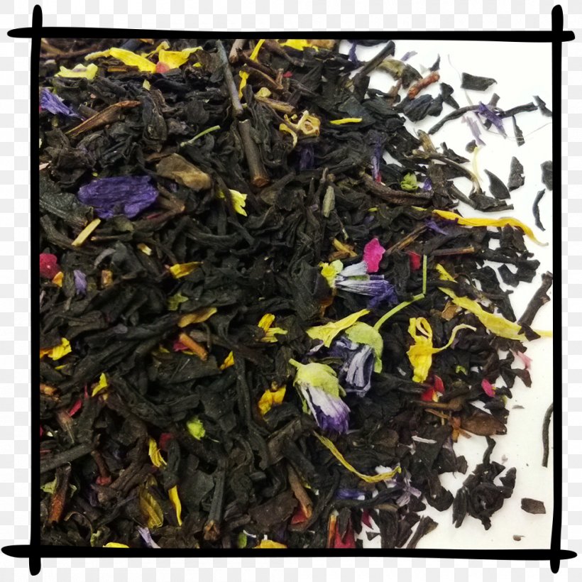 Nilgiri Tea Oolong Tea Plant Scrap, PNG, 1000x1000px, Nilgiri Tea, Ceylon Tea, Da Hong Pao, Dianhong, Earl Grey Tea Download Free