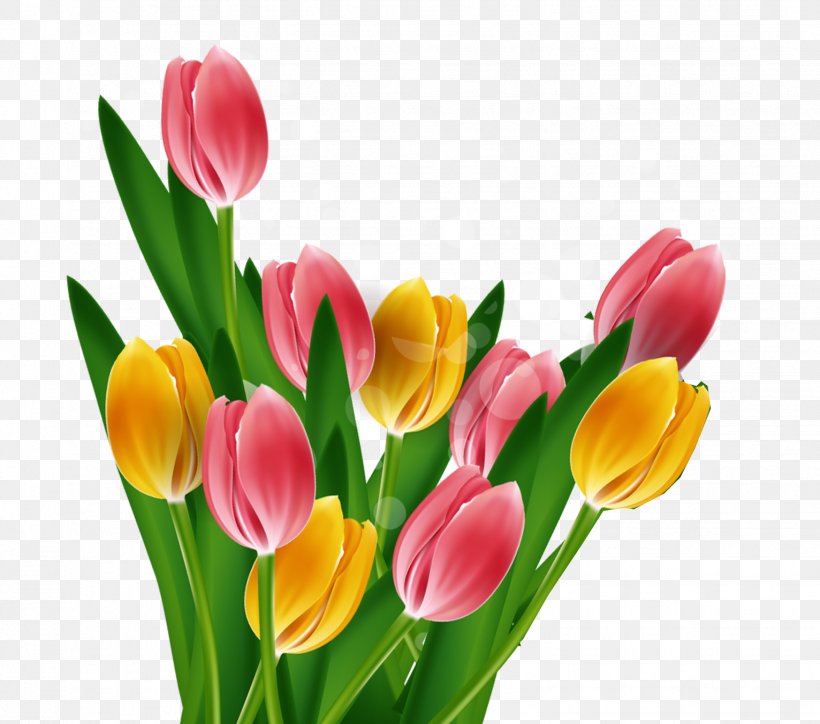 Tulip Mothers Day, PNG, 1532x1354px, Tulip, Cut Flowers, Designer, Floral Design, Floristry Download Free