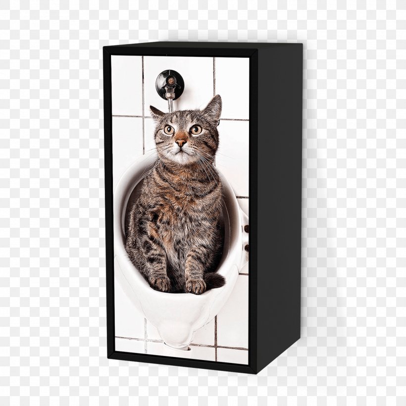 Cat Litter Trays IKEA Armoires & Wardrobes Window, PNG, 1500x1500px, Cat, Armoires Wardrobes, Bathroom, Bedroom, Cat Like Mammal Download Free