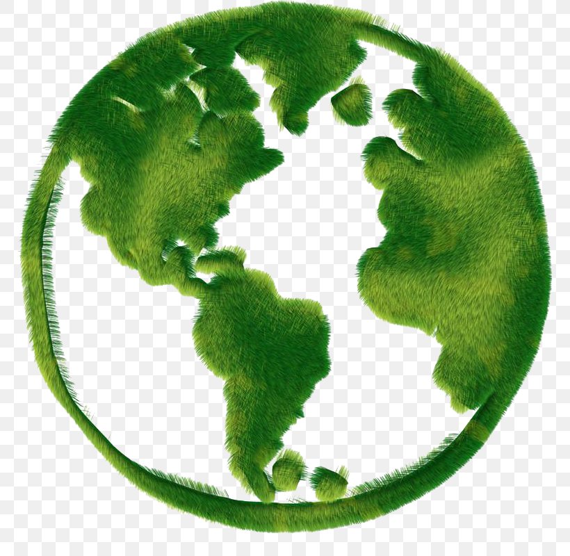 Greenpeace Symbol Environmentally Friendly Wallpaper, PNG, 800x800px, Greenpeace, Display Resolution, Environment, Environmental Protection, Environmentally Friendly Download Free