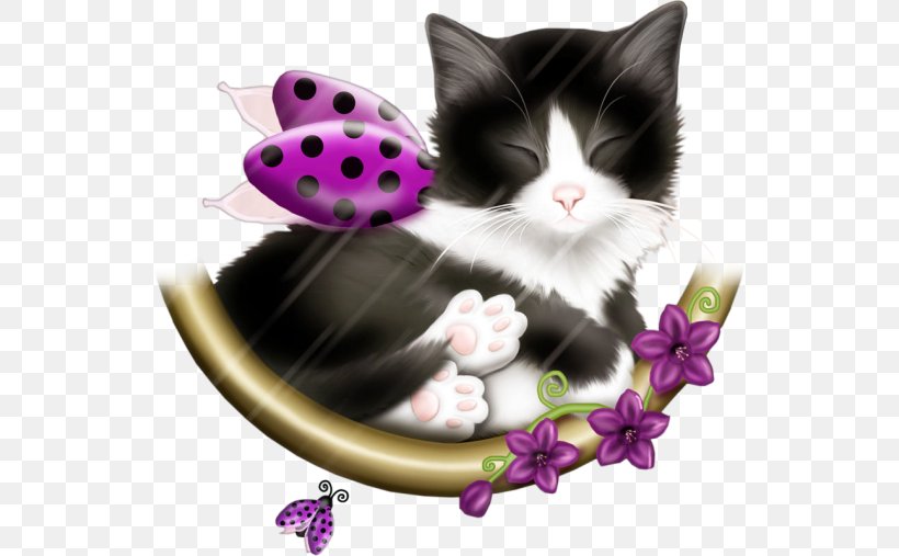 Kitten Whiskers Domestic Short-haired Cat Dog, PNG, 540x507px, Kitten, Animal, Art, Black Cat, Carnivoran Download Free
