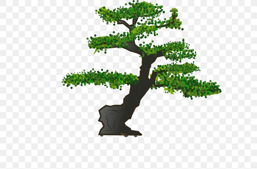 Bonsai Tree Sageretia Theezans Clip Art, PNG, 600x542px, Bonsai, Branch, Flowerpot, Gardening, Grass Download Free