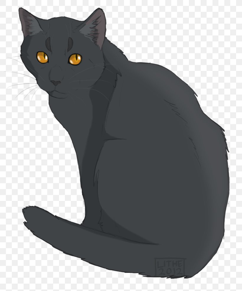 Cats Of The Clans Warriors Erin Hunter ThunderClan, PNG, 811x985px, Cat, Black, Black Cat, Bombay, Carnivoran Download Free