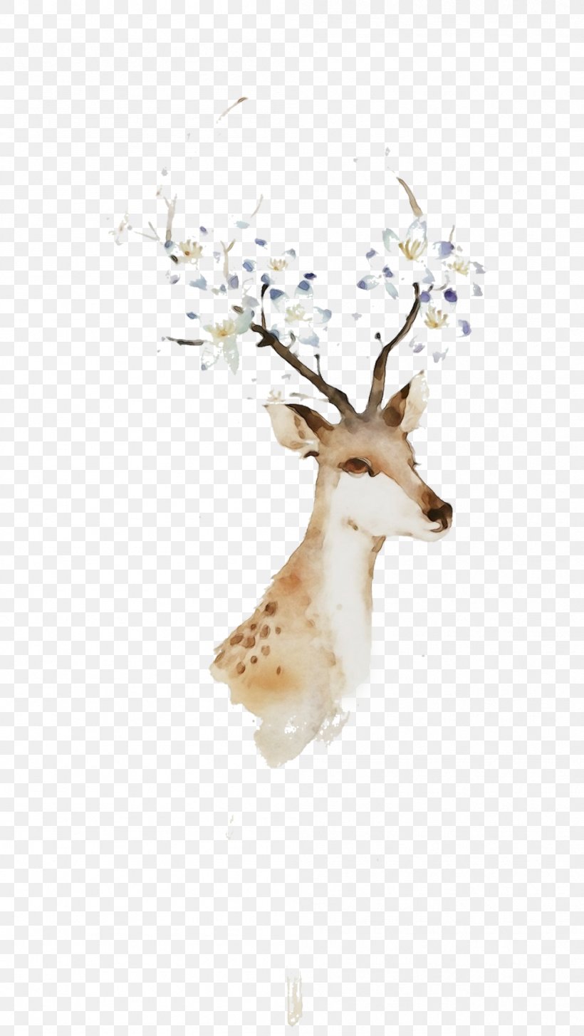 Reindeer, PNG, 999x1773px, Watercolor, Antler, Branch, Deer, Fawn Download Free