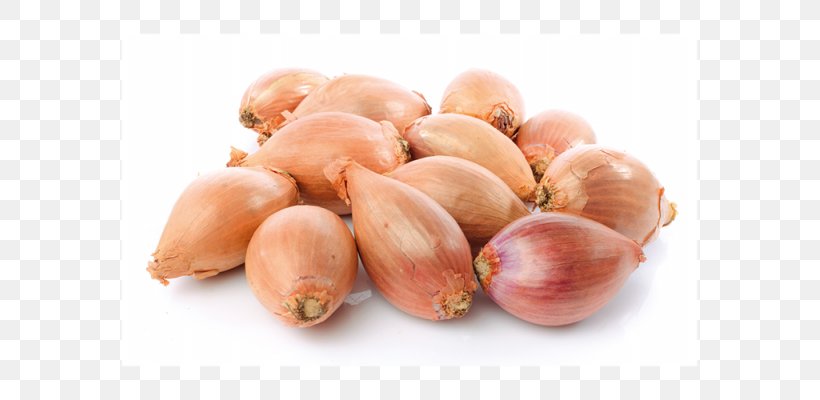 Shallot Vegetable Bulb Stock Photography, PNG, 693x400px, Shallot, Bulb, Commodity, Food, Ingredient Download Free