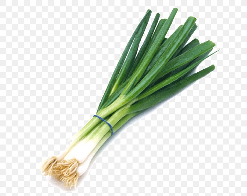 Allium Fistulosum Scallion Vegetable Chives Shallot, PNG, 800x651px, Allium Fistulosum, Allium, Allium Chinense, Chives, Food Download Free