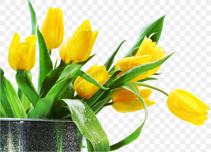 Artificial Flower Tulip Desktop Wallpaper, PNG, 2994x2158px, Flower, Artificial Flower, Bud, Bulb, Cut Flowers Download Free