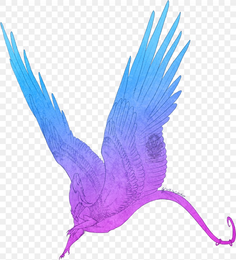 Beak Feather Purple, PNG, 1230x1355px, Beak, Animal, Bird, Fauna, Feather Download Free
