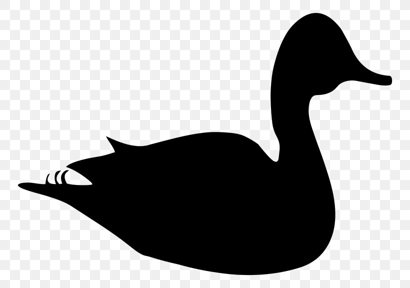 Daisy Duck Mallard Clip Art, PNG, 800x576px, Duck, Beak, Bird, Black And White, Daisy Duck Download Free