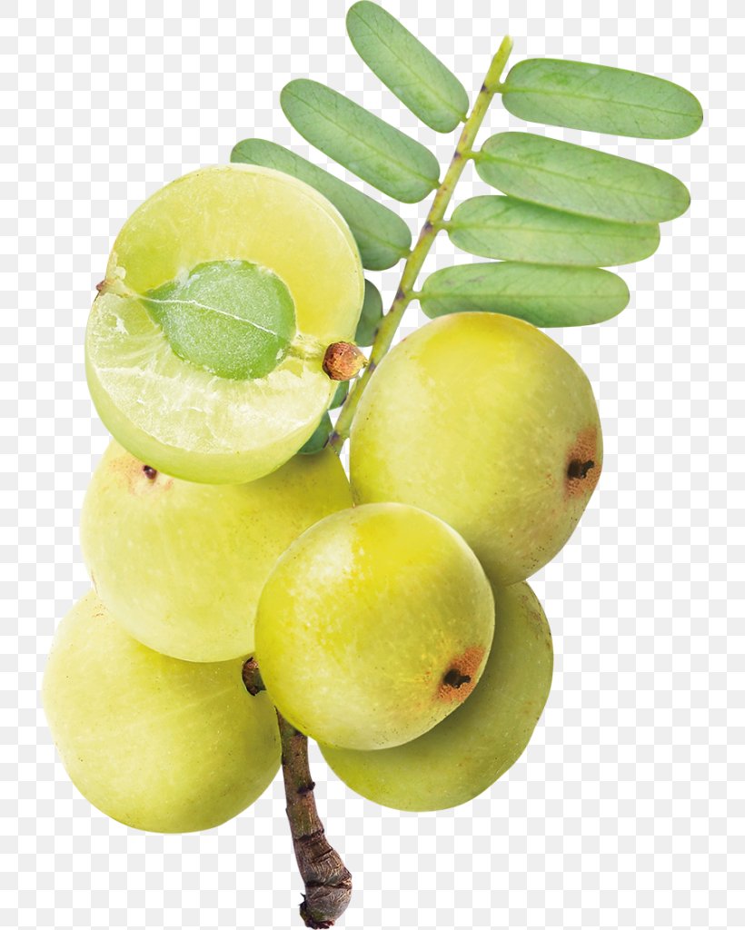 Key Lime Indian Gooseberry Juice Persian Lime, PNG, 729x1024px, Key Lime, Aavakaaya, Citrus, Food, Fruit Download Free