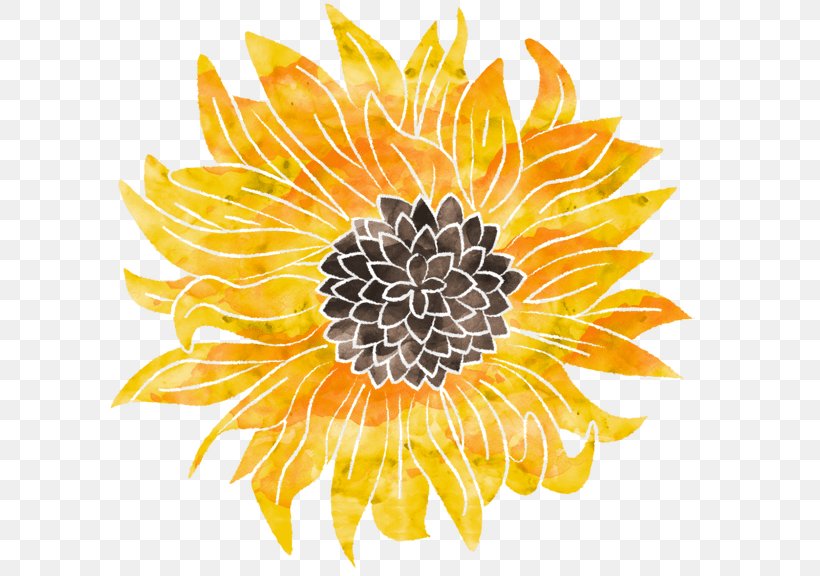 Sunflower, PNG, 610x576px, Sunflower, Flower, Gazania, Petal, Plant Download Free