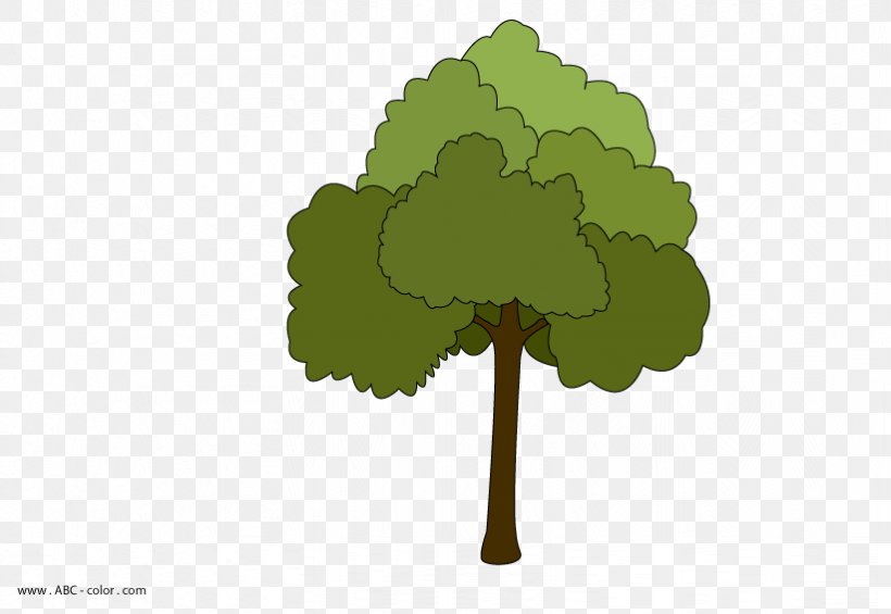Tree Maple Leaf Kousa Dogwood Shrub, PNG, 822x567px, Tree, Autumn Leaf Color, Dogwood, Flag Of Canada, Flower Download Free