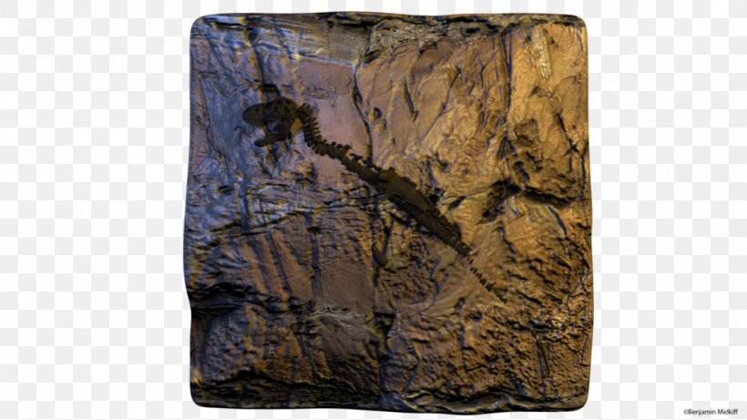 Tyrannosaurus /m/083vt Rock Outcrop Wall, PNG, 1000x563px, Tyrannosaurus, Art, Digital Art, Excavation, Outcrop Download Free