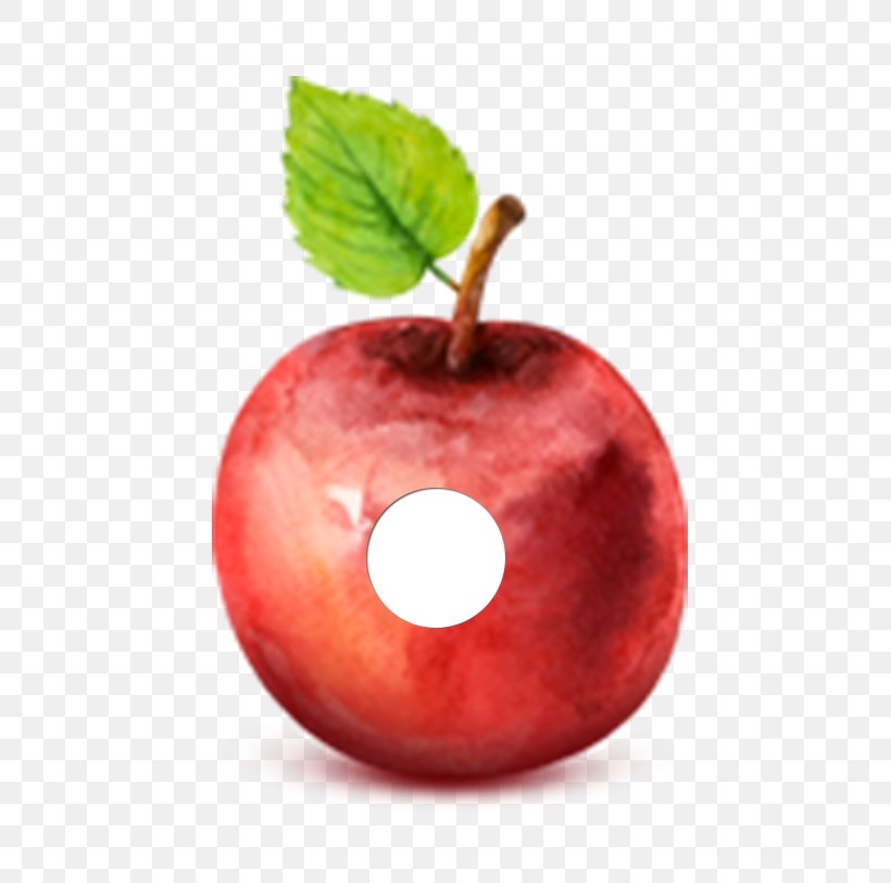 Apple Watercolor Painting Drawing, PNG, 712x813px, Apple, Accessory Fruit, Art, Drawing, Food Download Free