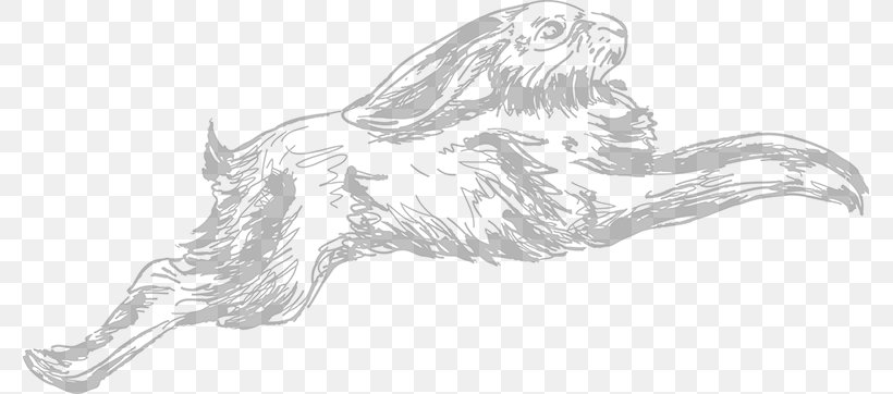 Canidae Dog Drawing Line Art Sketch, PNG, 777x362px, Canidae, Artwork, Black And White, Carnivora, Carnivoran Download Free