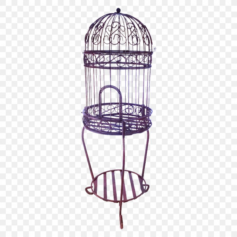Lovebird Domestic Canary Budgerigar Parrot, PNG, 983x983px, Bird, Bird Feeders, Birdcage, Budgerigar, Cage Download Free