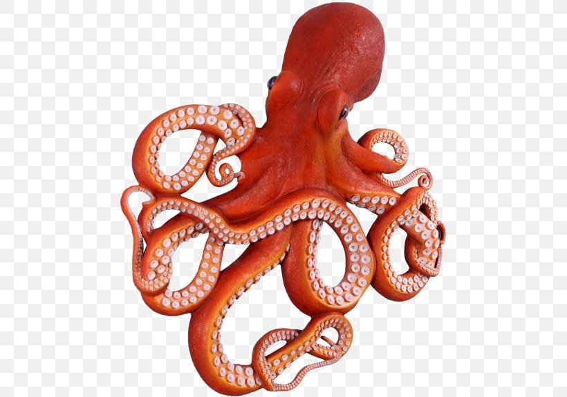 Octopus Image Drawing Artist, PNG, 650x575px, 2018, Octopus, Art, Artist, Cephalopod Download Free