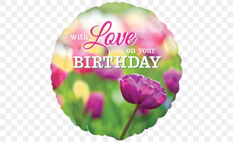 Balloon Atmosphere Of Earth Love Valentine's Day Petal, PNG, 500x500px, Balloon, Atmosphere Of Earth, Cup, Cut Flowers, Flower Download Free