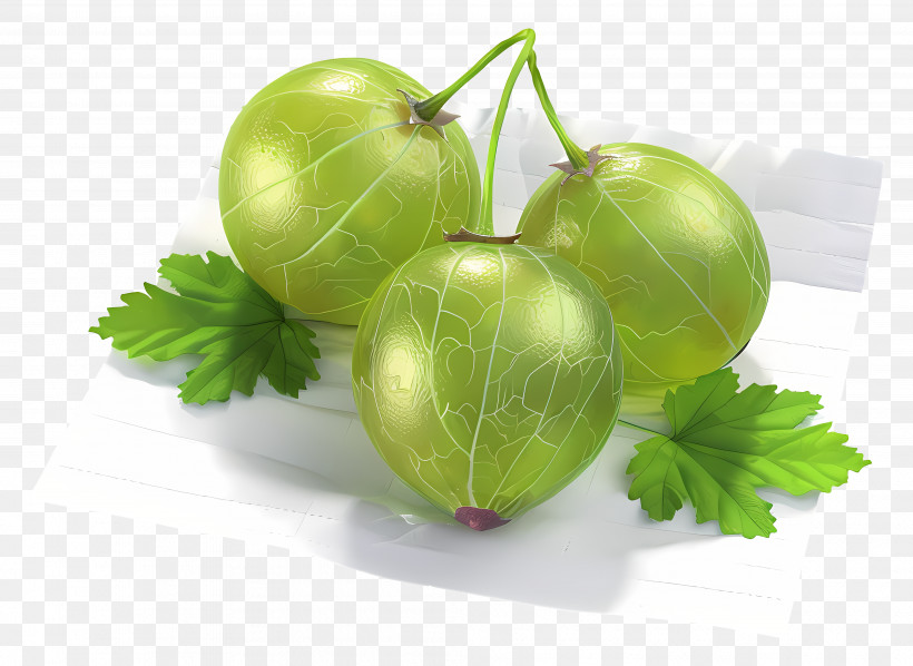 Gooseberry - Green Gooseberries With Leaves PNG