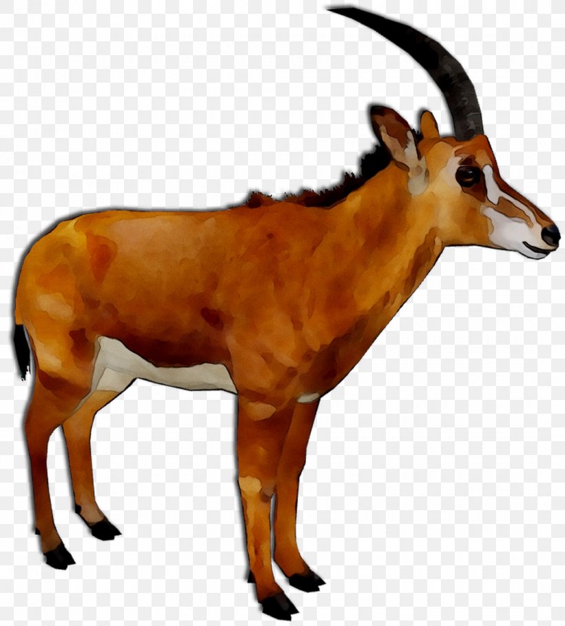 Impala Oryx Springbok Deer GAZELLE M, PNG, 1080x1196px, Impala, Animal, Animal Figure, Antelope, Chamois Download Free