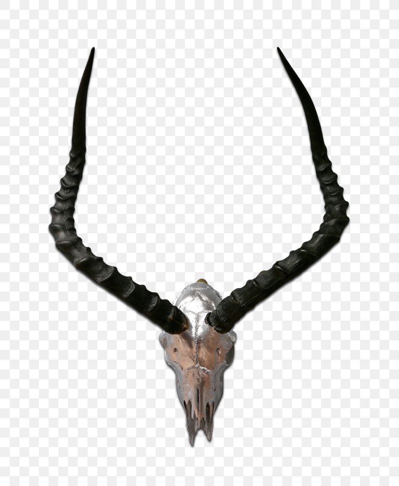 Impala Antelope Horn Waterbuck Springbok, PNG, 756x1000px, Impala, Aerosol Paint, Antelope, Antler, Blesbok Download Free