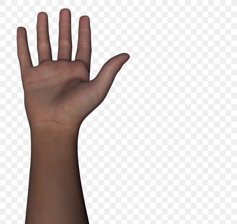 Thumb Arm Human Body Hand, PNG, 800x773px, Thumb, Arm, Carpal Bones, Finger, Glove Download Free