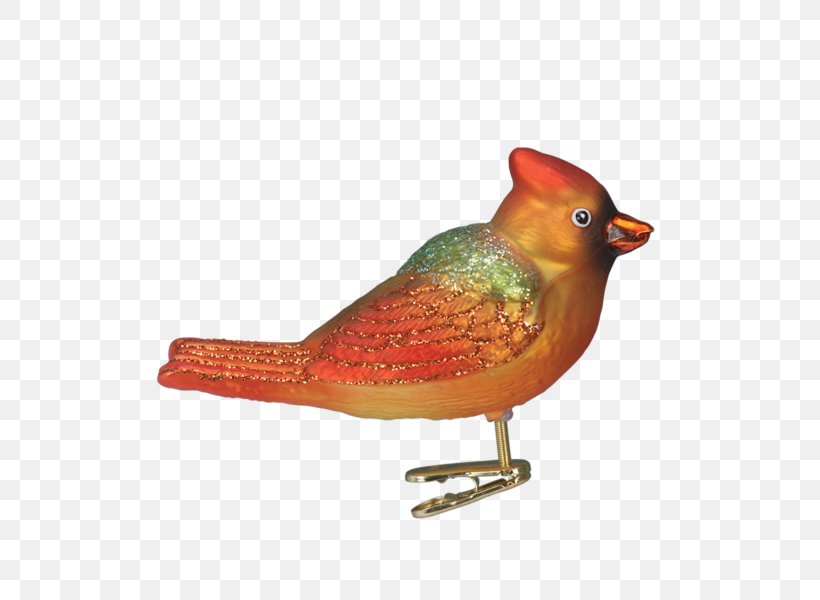 Bird Beak Winter Christmas Ornament, PNG, 600x600px, Bird, Beak, Christmas Day, Christmas Ornament, Feather Download Free