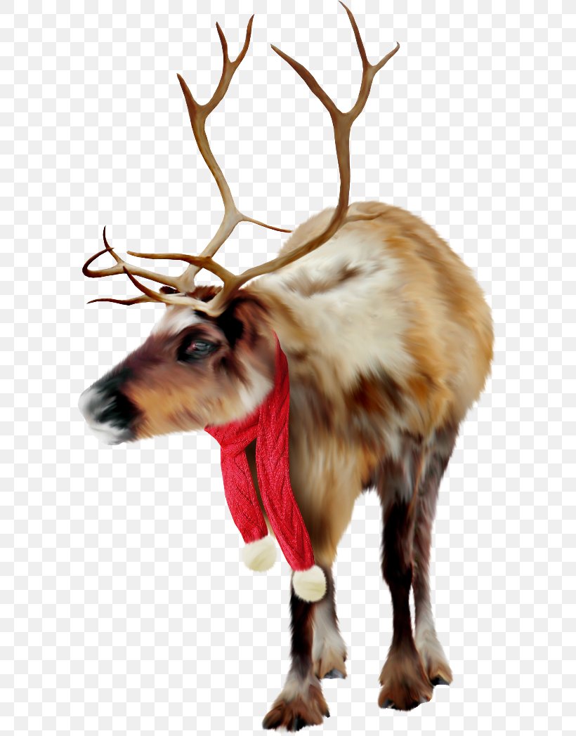 Reindeer Clip Art, PNG, 600x1048px, Reindeer, Animal, Antler, Deer, Fur Download Free