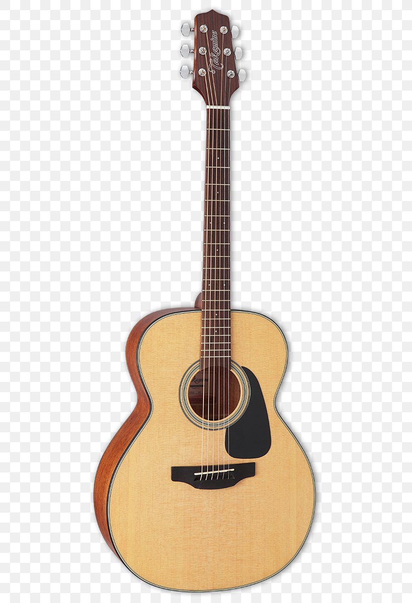 Takamine Guitars Steel-string Acoustic Guitar Acoustic-electric Guitar Dreadnought, PNG, 481x1200px, Watercolor, Cartoon, Flower, Frame, Heart Download Free