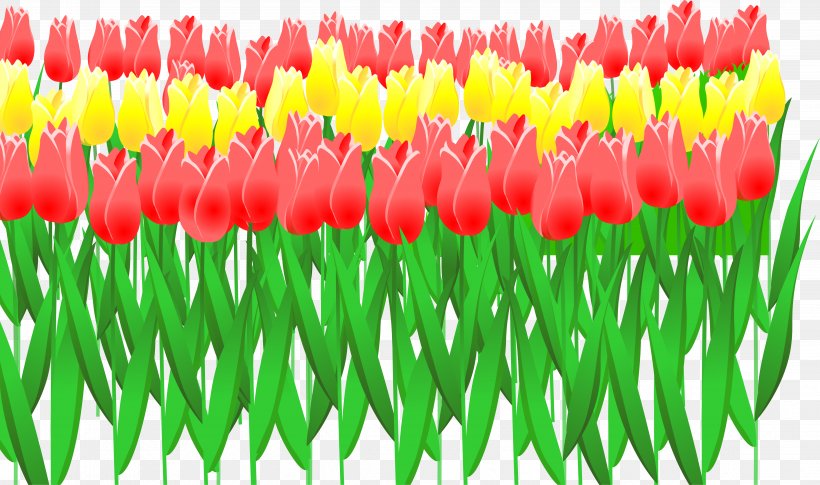 Tulip Euclidean Vector Flower, PNG, 4556x2696px, Tulip, Cartoon, Comics, Flower, Flowering Plant Download Free