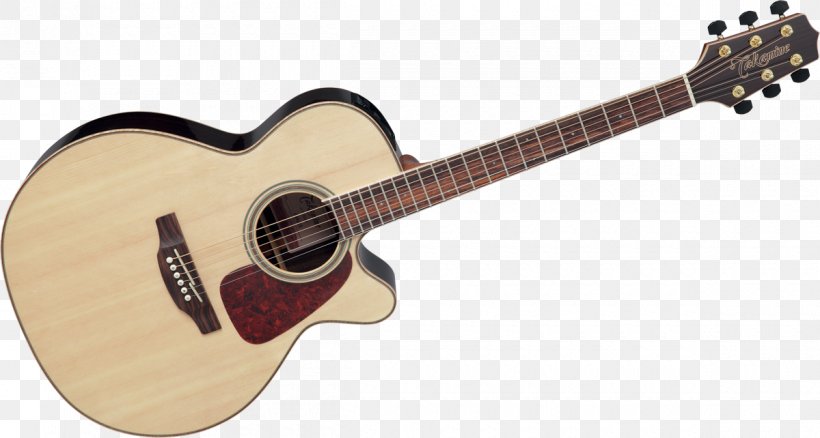 Twelve-string Guitar Steel-string Acoustic Guitar Takamine Guitars, PNG, 1200x642px, Watercolor, Cartoon, Flower, Frame, Heart Download Free