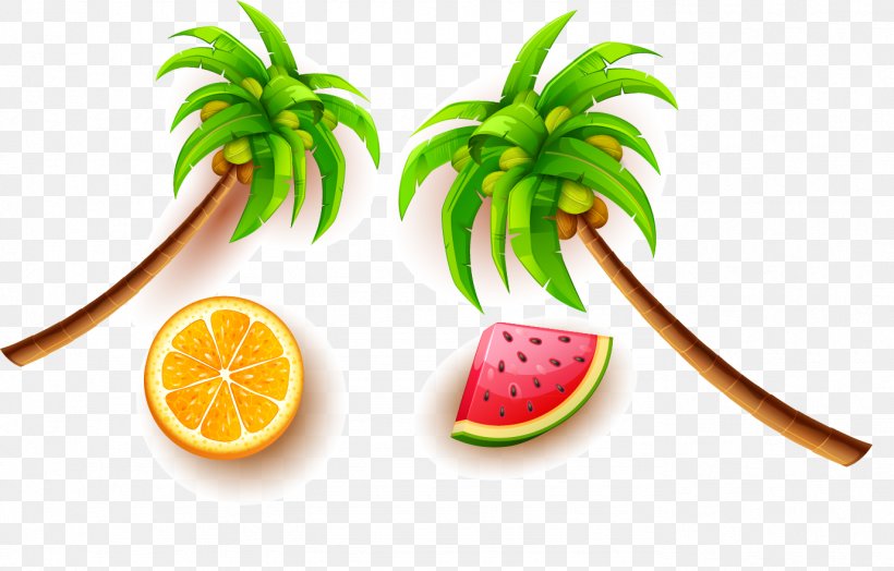 Fruit Coconut Euclidean Vector, PNG, 1379x882px, Fruit, Arecaceae, Auglis, Coconut, Diet Food Download Free