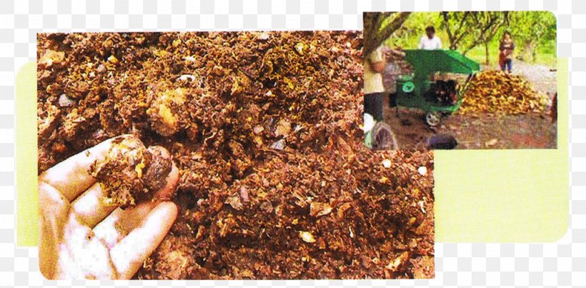 Hot Chocolate Cocoa Bean Husk Cacao Tree Compost, PNG, 1024x504px, Hot Chocolate, Cacao Tree, Chocolate, Cocoa Bean, Compost Download Free
