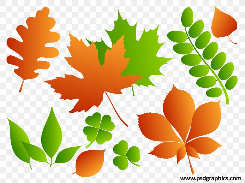 Leaf, PNG, 5000x3750px, Leaf, Branch, Leaf Size, Maple Leaf, Orange Download Free