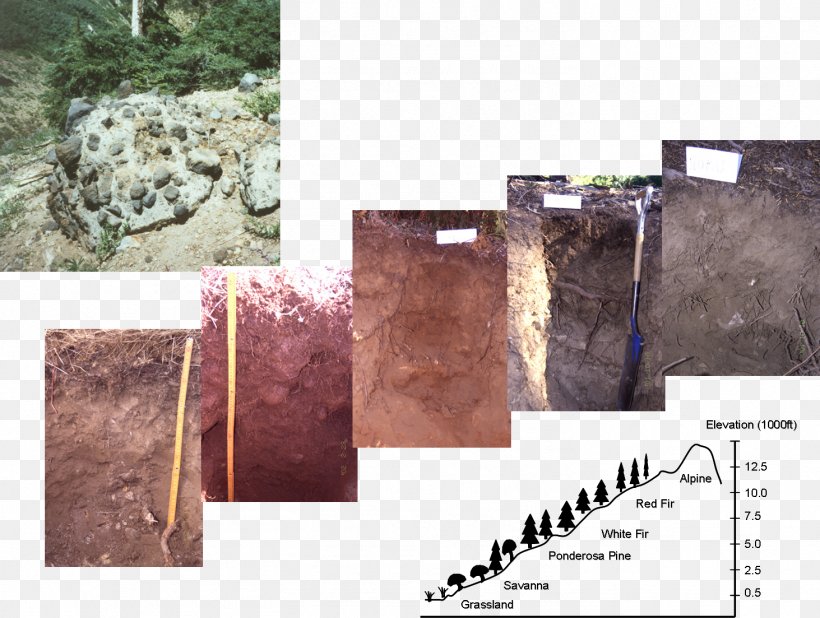 Soil Science Pedology Soil Science Edaphology, PNG, 1463x1103px, Soil, Edaphology, Geology, Geotechnical Engineering, Geotechnics Download Free